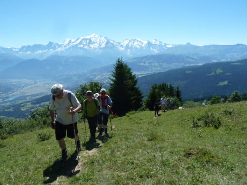 chalet du cart